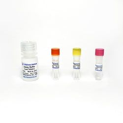 TRIBIOSCIENCE INC&nbsp;ADP/ATP Ratio Assay Kit (Bioluminescent) 100 Tests