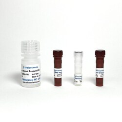 TRIBIOSCIENCE INC&nbsp;Methanol Assay Kit 100 Tests