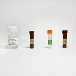 TRIBIOSCIENCE INC&nbsp;Mitochondrial Complex III Activity Colorimetric Assay 100 Tests