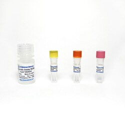 TRIBIOSCIENCE INC&nbsp;Pyruvate Colorimetric Assay 100 Tests