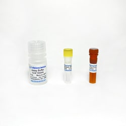 TRIBIOSCIENCE INC&nbsp;Thiol Fluorometric Assay 100 Tests