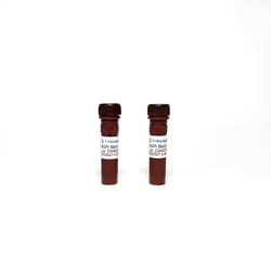 TRIBIOSCIENCE INC&nbsp;Acridine Orange-Propidium Iodide (AO-PI) Stain 500 Tests