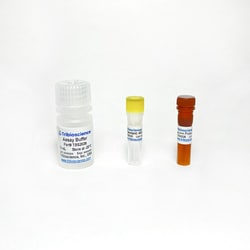 TRIBIOSCIENCE INC&nbsp;Glutathione (GSH) Fluorometric Assay 100 Tests