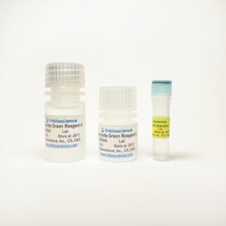 TRIBIOSCIENCE INC&nbsp;Malachite Green Phosphate Colorimetric Assay 1000 Tests