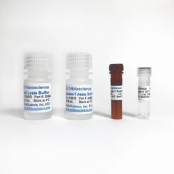 TRIBIOSCIENCE INC&nbsp;Caspase-1 Fluorometric Assay Kit 100 Tests