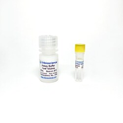 TRIBIOSCIENCE INC&nbsp;Mitochondrial Membrane Potential Assay 100 Tests