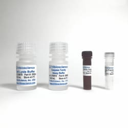 TRIBIOSCIENCE INC&nbsp;Caspase-Family Colorimetric Assay Kit 9x25 Tests