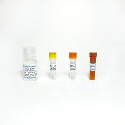 TRIBIOSCIENCE INC&nbsp;Lactic Lactate Fluorometric Assay 100 Tests