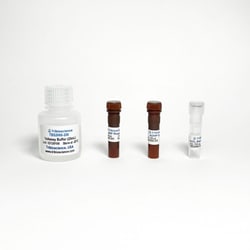 TRIBIOSCIENCE INC&nbsp;Fast Hydrogen Peroxide Assay 100 Reactions
