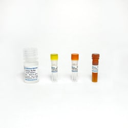 TRIBIOSCIENCE INC&nbsp;Lactate Colorimetric Assay 100 Tests
