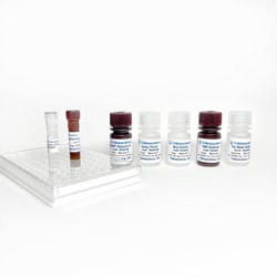 TRIBIOSCIENCE INC&nbsp;Cyclic GMP Colorimetric Activity Assay
