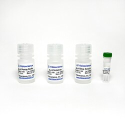 TRIBIOSCIENCE INC&nbsp;Acid Phosphatase Activity Colorimetric Assay 100 Tests
