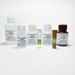 TRIBIOSCIENCE INC&nbsp;BrdU Cell Proliferation Colorimetric Assay 200 Tests