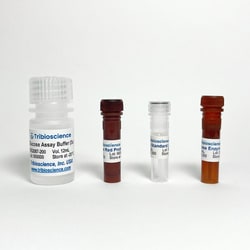 TRIBIOSCIENCE INC&nbsp;Fast Glucose Determination Assay (Colorimetric/Fluorometric) 200 Assays