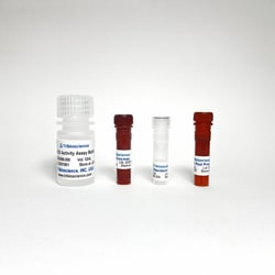 TRIBIOSCIENCE INC&nbsp;Fast Glucose Oxidase Activity Assay (Colorimetric/Fluorometric) 200 Assays