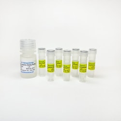 TRIBIOSCIENCE INC&nbsp;Homocysteine Assay (Colorimetric / Fluorometric) 100 Tests