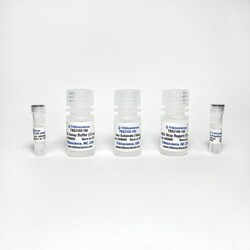 TRIBIOSCIENCE INC&nbsp;Beta-N-Acetylglucosaminidase (Beta-NAG) Activity Fluorometric Assay 100 Assays