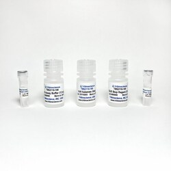 TRIBIOSCIENCE INC&nbsp;β-Glucuronidase Assay 100 Tests
