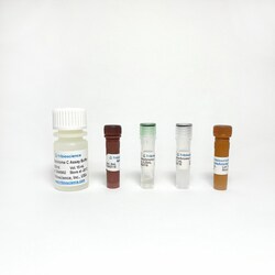 TRIBIOSCIENCE INC&nbsp;Cytochrome C Reductase Activity Assay 100 Tests