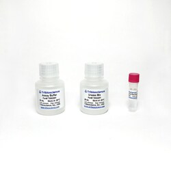 TRIBIOSCIENCE INC&nbsp;Urea Colorimetric Assay 200 Tests