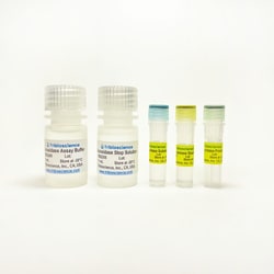 TRIBIOSCIENCE INC&nbsp;α-Glucosidase Activity Assay 100 Tests