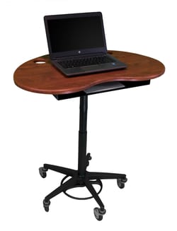 Omnimed Inc&nbsp;Artisan Style Mobile Kidney Laptop & Tablet Stand & Accessories