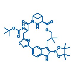 BLD PHARMATECH CO LIMITED&nbsp;tert-Butyl ((64S,4S)-10,10-dimethyl-5,7-dioxo-12-(4,4,5,5-tetramethyl-1,3,2-dioxaborolan-2-yl)-11H-8-oxa-62,63-diaza-2(4,2)-thiazola-1(5,3)-indola-6(2,4)-bicyclo[3.1.1]heptanacycloundecaphane-4-yl)carbamate, CAS Number: 3034241-56-7, 1g, Purity: 95%