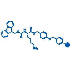 BLD PHARMATECH CO LIMITED&nbsp;Fmoc-L-Lys-Wang Resin, 5g, Purity: 0.3-0.8mmol/g