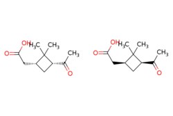eMolecules​ 61826-55-9 | Cyclobutaneacetic acid, 3-acetyl-2,2-dimethyl-,