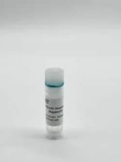 IPHASE PHARMA SERVICES LLC&nbsp;Suspension Sprague-Dawley Rat Hepatocytes,Male,5million