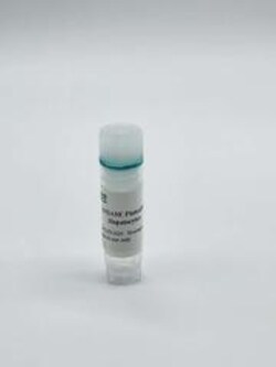 IPHASE PHARMA SERVICES LLC&nbsp;Plateable Human Hepatocytes,Male,5million