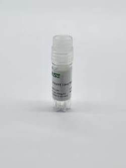IPHASE PHARMA SERVICES LLC&nbsp;Induced Sprague-Dawley Rat Liver S9,Male,35mg/mL,1mL