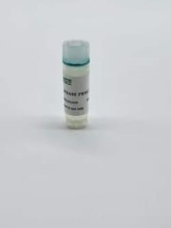 IPHASE PHARMA SERVICES LLC&nbsp;C57BL/6 Mouse PBMC,Frozen,5million