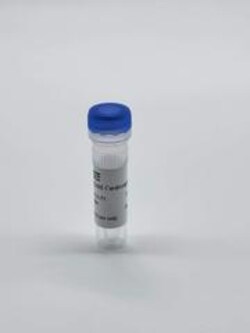 IPHASE PHARMA SERVICES LLC&nbsp;Cynomolgus Monkey Cerebrospinal Fluid,Male,1mL
