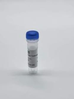 IPHASE PHARMA SERVICES LLC&nbsp;Sprague-Dawley Rat Cerebrospinal Fluid,Male,1mL