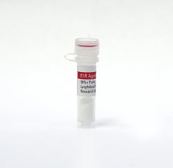 MEDILUMINE INC MediLumine Inc. Bradykinin B1R Agonist, 1 mg, Quantity: