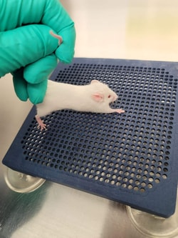 MEDILUMINE INC MediLumine Inc. In Vivo Gripper, Quantity: Each of 1