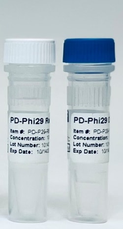 Mascon Medical&nbsp;PD-Phi29 DNA polymerase, 5000U/pk