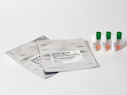 Lonza Walkersville&nbsp;PyroCell Monocyte Activation Test – Human Serum (HS) Rapid System contains: cryopreserved, pooled PBMC (human, pMAT Cells), Human Serum Supplement, PeliKine Human IL-6 ELISA Rapid Kit, for 288 tests