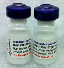 TRIBIOSCIENCE INC&nbsp;Alenphosome - A - Alendronate Liposomes (Anionic), 2 ML