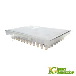 INTACT GENOMICS INC&nbsp;ig 5-alpha Chemically Competent Cells (High Efficiency ), 1x384 well plate - 15µl/well