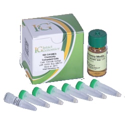 INTACT GENOMICS INC&nbsp;IG C41(DE3) Chemically Competent Cells 24x50µl