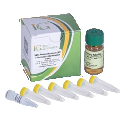 INTACT GENOMICS INC&nbsp;IG Autoinduction DE3 Chemically Competent Cells, 24x50µl