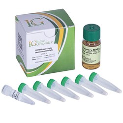 INTACT GENOMICS INC&nbsp;ig ER2738 Phage Display ElectroCompetent Cells, 6x50µl