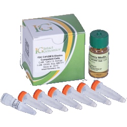 INTACT GENOMICS INC&nbsp;IG C41(DE3) Electro Competent Cells 6x50μl