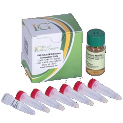 INTACT GENOMICS INC&nbsp;IG C43(DE3) Electro Competent Cells 6x50µl
