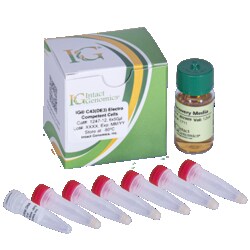 INTACT GENOMICS INC&nbsp;IG C43(DE3) Electro Competent Cells 24x50µl