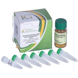 INTACT GENOMICS INC&nbsp;IG Autoinduction DE3 ElectroCompetent Cells, 6x50µl