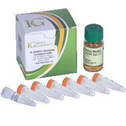 INTACT GENOMICS INC&nbsp;DL39(DE3) Chemically Competent Cells 6x200µl
