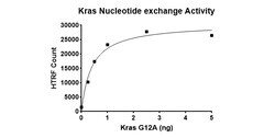 AURORA BIOLABS LLC&nbsp;Kras G12A Nucleotide Exchange Assay Kit, 384 rxn